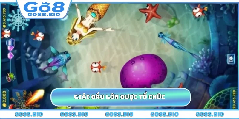 Giải đấu lớn được tổ chức